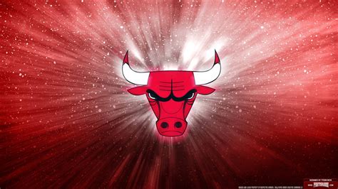chicago bulls logo wallpaper